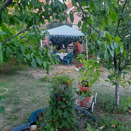 Apartman Drina Berilovac Exterior foto